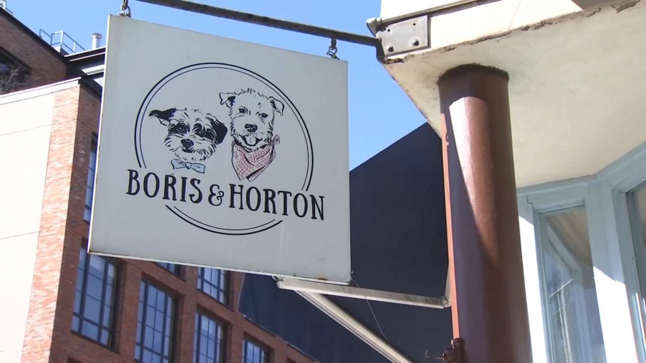 Dog cafe to reopen after receiving community support